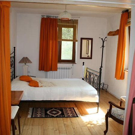 Guest House Kamenik 亚戈迪纳 客房 照片