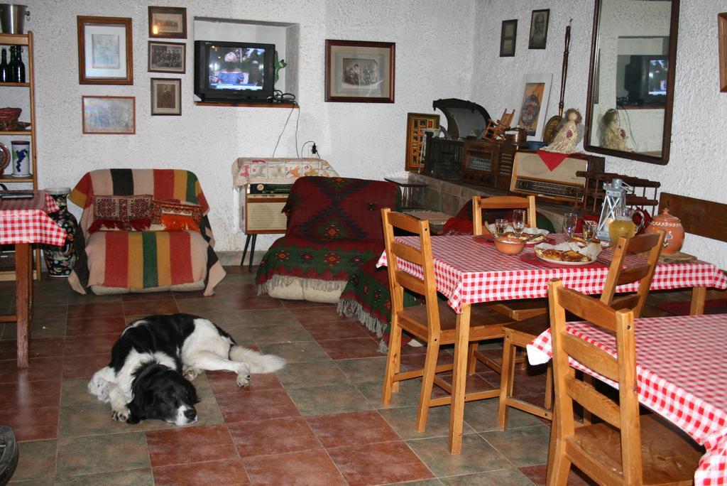 Guest House Kamenik 亚戈迪纳 外观 照片